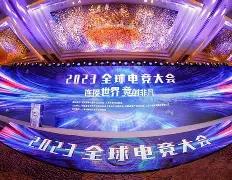 星空体育-2025全球电竞大会在沪举办(2025年沙特电竞世界杯)